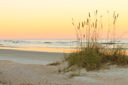 Haunted by the OBX, Legend and Lore