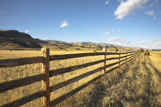 The Brothers of Sweet Grass Ranch