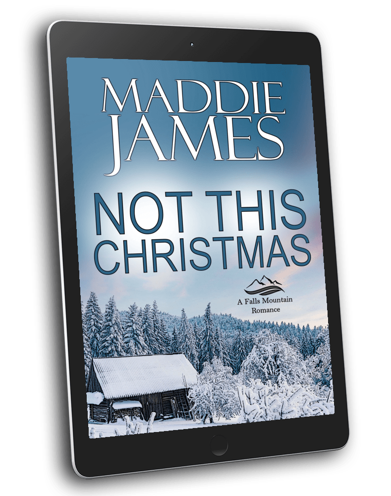 Not This Christmas (EBOOK)