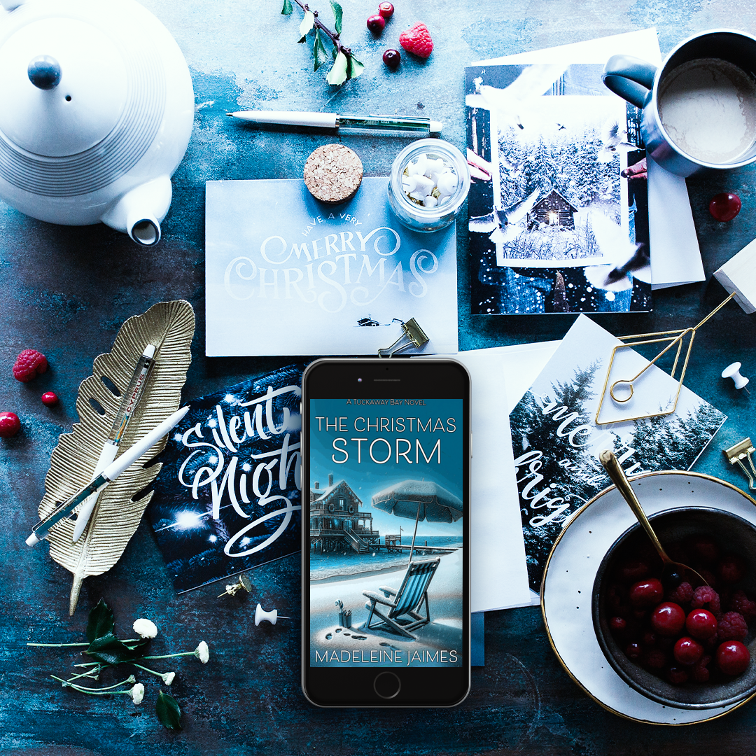 The Christmas Storm (EBOOK)