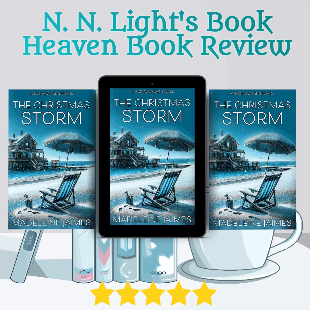 The Christmas Storm (EBOOK)