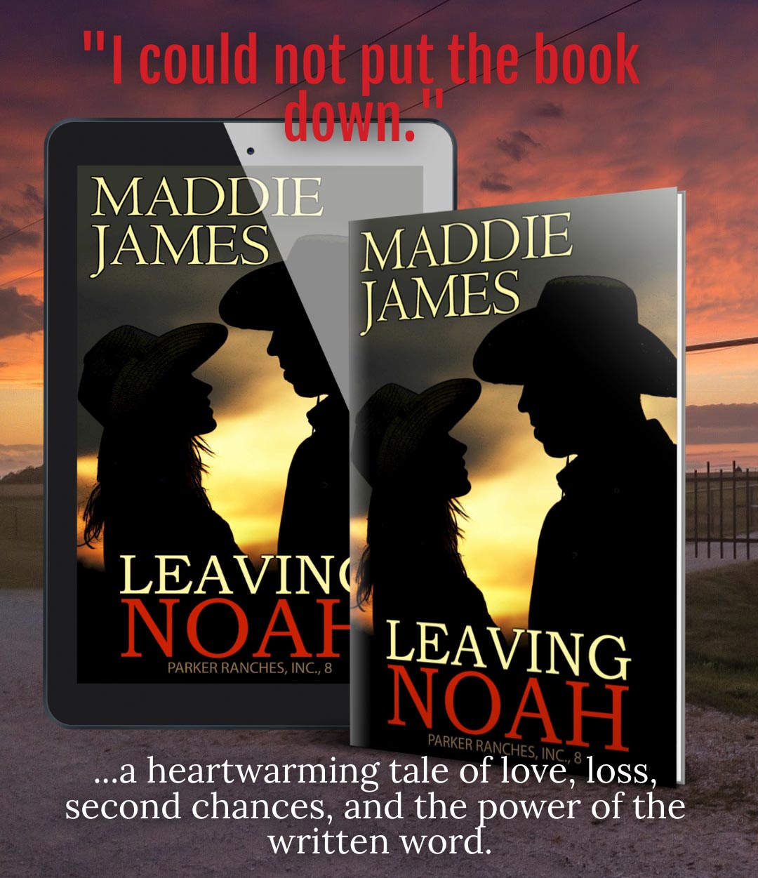 Leaving Noah (EBOOK)