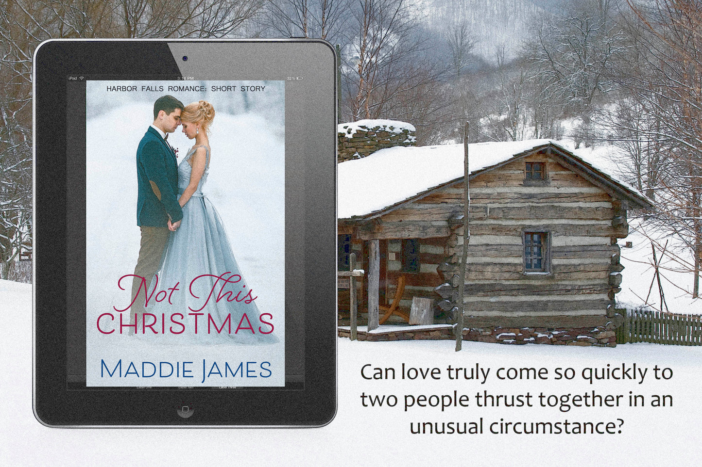 Not This Christmas (EBOOK)