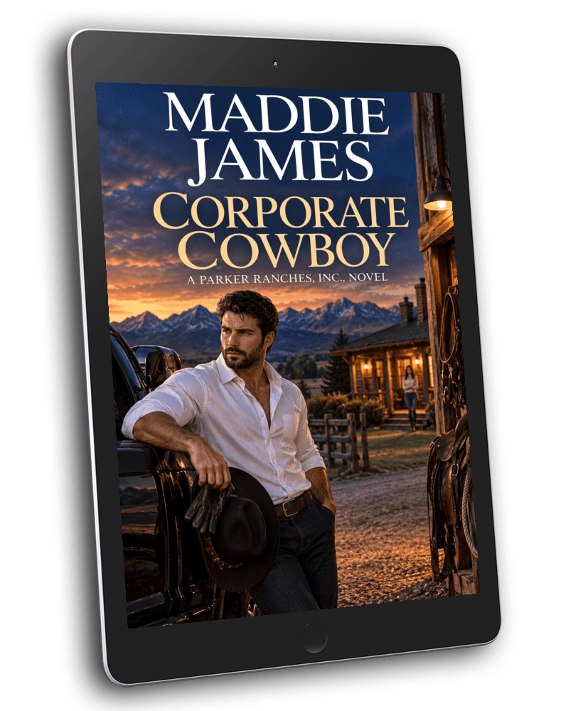 Corporate Cowboy (EBOOK)