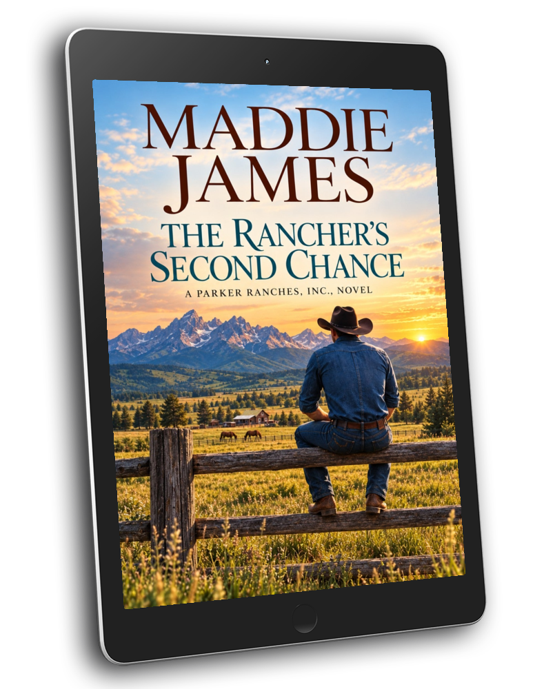 The Rancher's Second Chance (EBOOK)