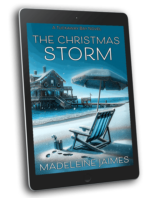 The Christmas Storm (EBOOK)