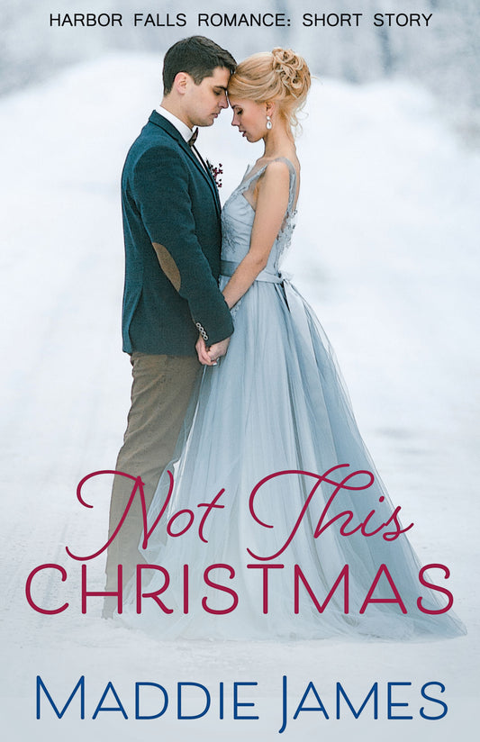 Not This Christmas (Book 15)