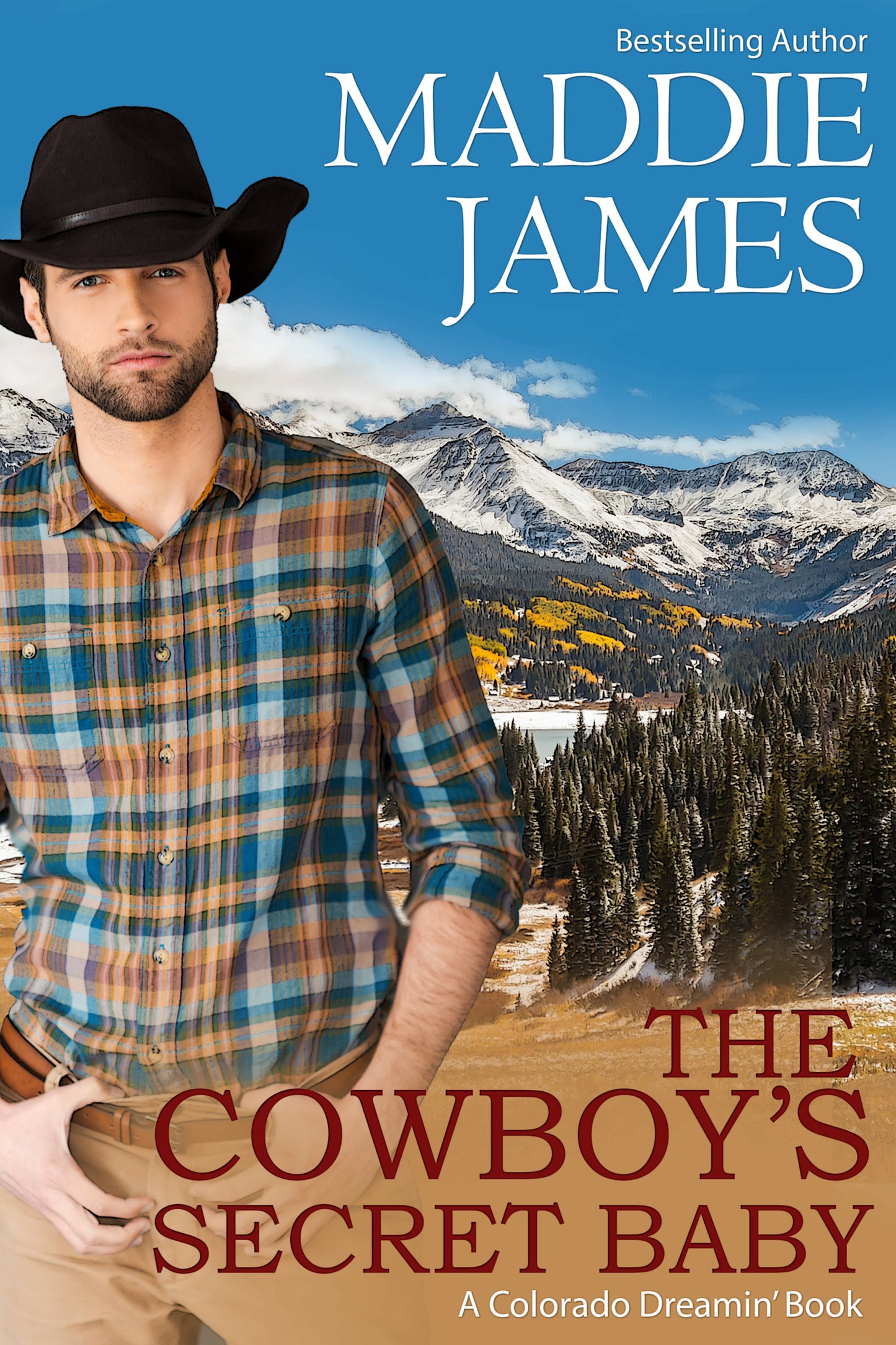 The Cowboy's Secret Baby (Book 3)